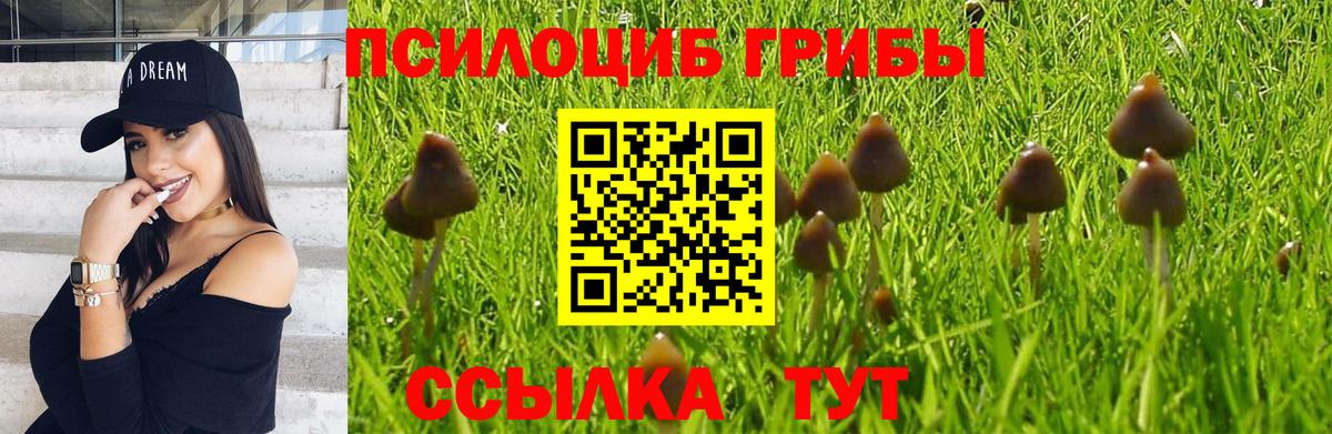 Псилоцибиновые грибы Magic Shrooms Знаменск